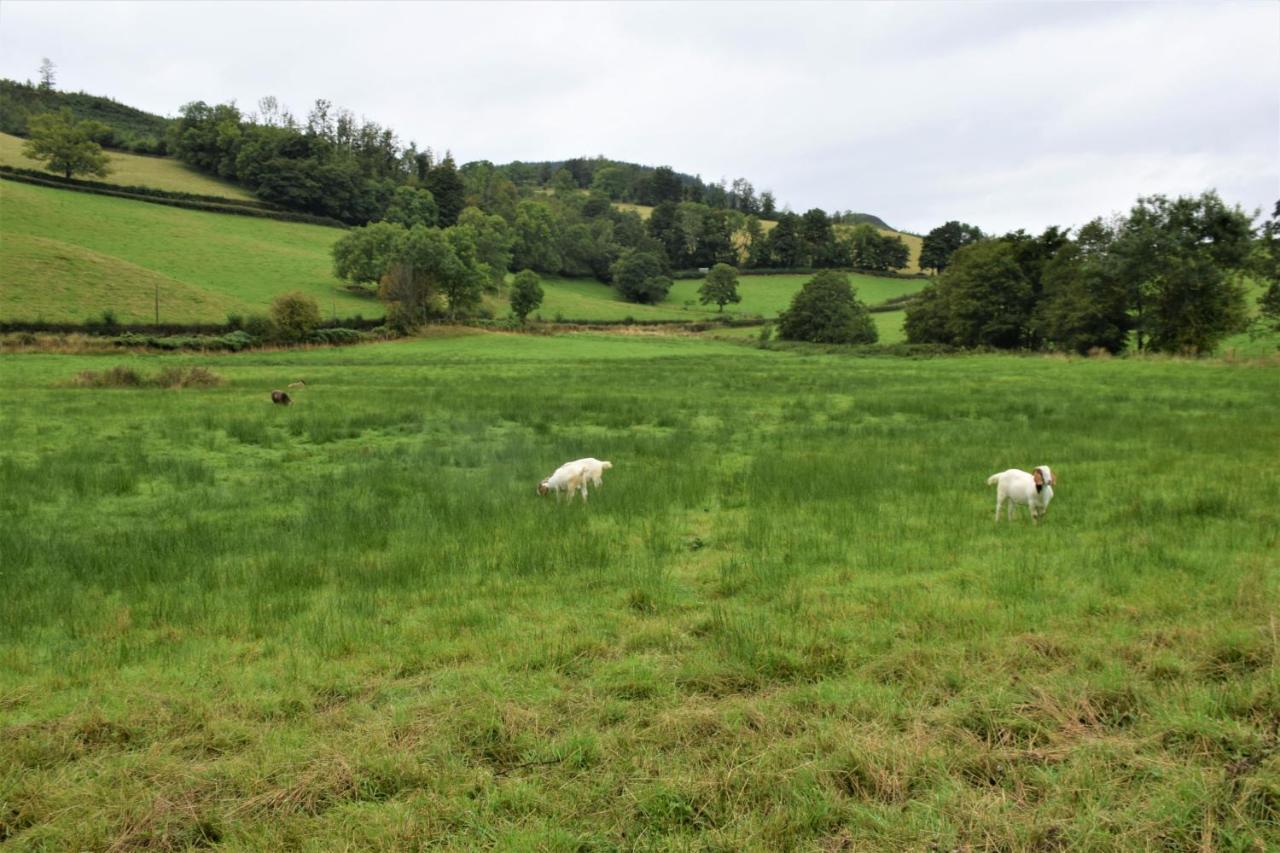 Ridge View Lodge Dumfries Luaran gambar